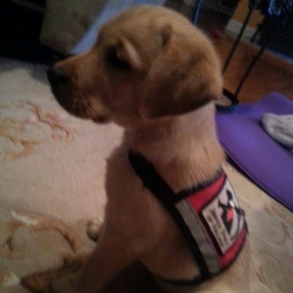 Meet your Posher, Janine - Picture 2 of 5